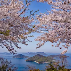 紫雲出山