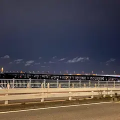 平井大橋