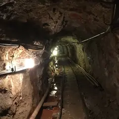 三信鉱工㈱