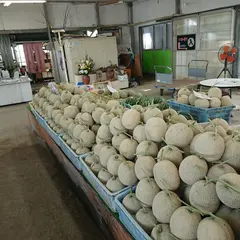 渥美観光丸武園