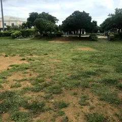 太陽公園