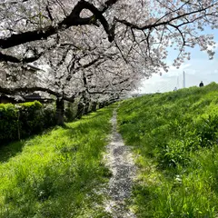 タイムズ川崎殿町１丁目第２