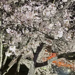 徳島中央公園