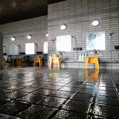 松江ニューアーバンホテル 別館