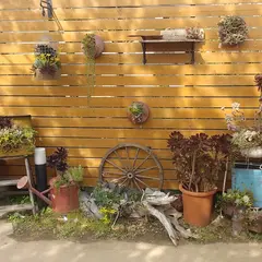 The Farm Universal Chiba