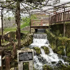 与座川