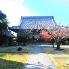 正住院