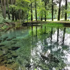 陣の池