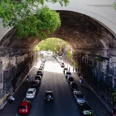 Argyle Cut