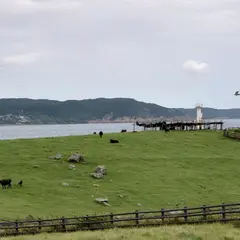 肥前立石埼灯台