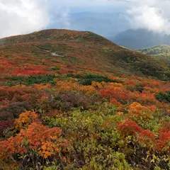 栗駒山