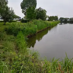 近藤沼公園
