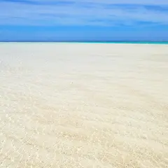 百合ヶ浜