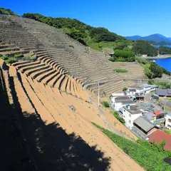 遊子水荷浦の段畑