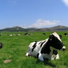 渡辺体験牧場