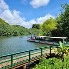 Fern Grotto（シダの洞窟）