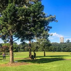 The Domain