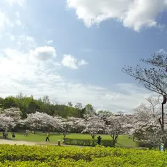 さくらの杜公園
