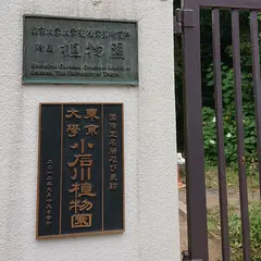 小石川植物園