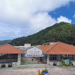 渡嘉敷港旅客ターミナル