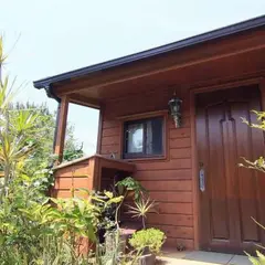 やんばるの森
