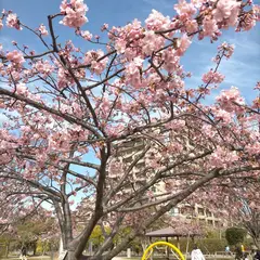 笹原公園