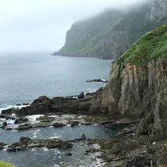 立待岬