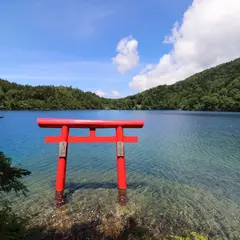大沼池
