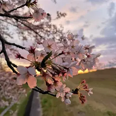 江南緑地公園（草井）