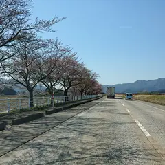関川村河川敷公園