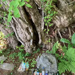 龍の祠