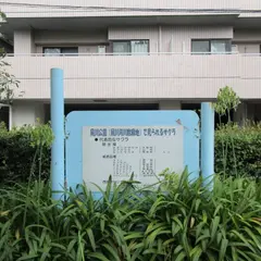 夙川河川敷緑地