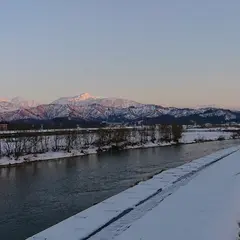 魚野川桜づつみ