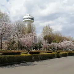 すいとぴあ江南