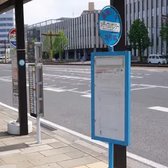 メディカルセンターバス停（中心部・郊外向け）