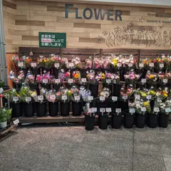 マックスバリュ川原店