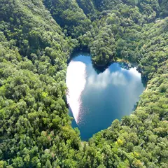 豊似湖