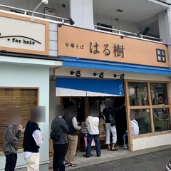 はる樹