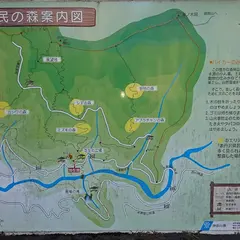 表丹沢県民の森駐車場
