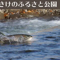 柏崎さけのふるさと公園