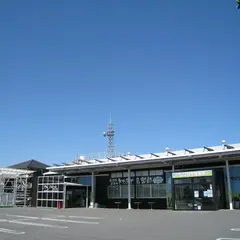 とれたて食楽部