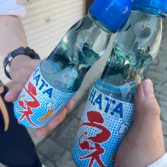 綾の照葉大吊橋