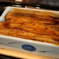 まめたぬき