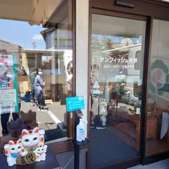 サンフィッシュ木野