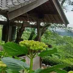 毛呂山町ゆずの里オートキャンプ場