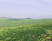 ビーナスラインの写真・動画_image_796266