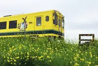 第2五之町踏切の写真・動画_image_72362