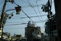 稲田商店会の写真・動画_image_647576