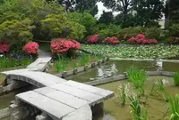 梅宮大社の写真・動画_image_79087