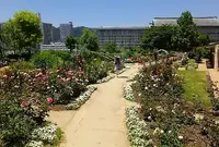 びわ湖大津館（旧琵琶湖ホテル）の写真・動画_image_79501
